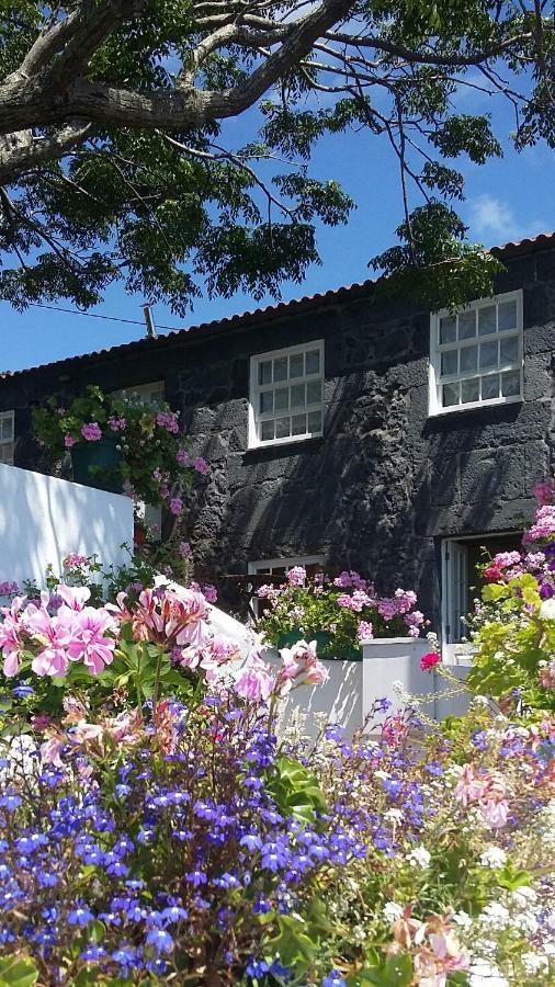 Casa Do Ze - Al Vendégház Manadas Kültér fotó